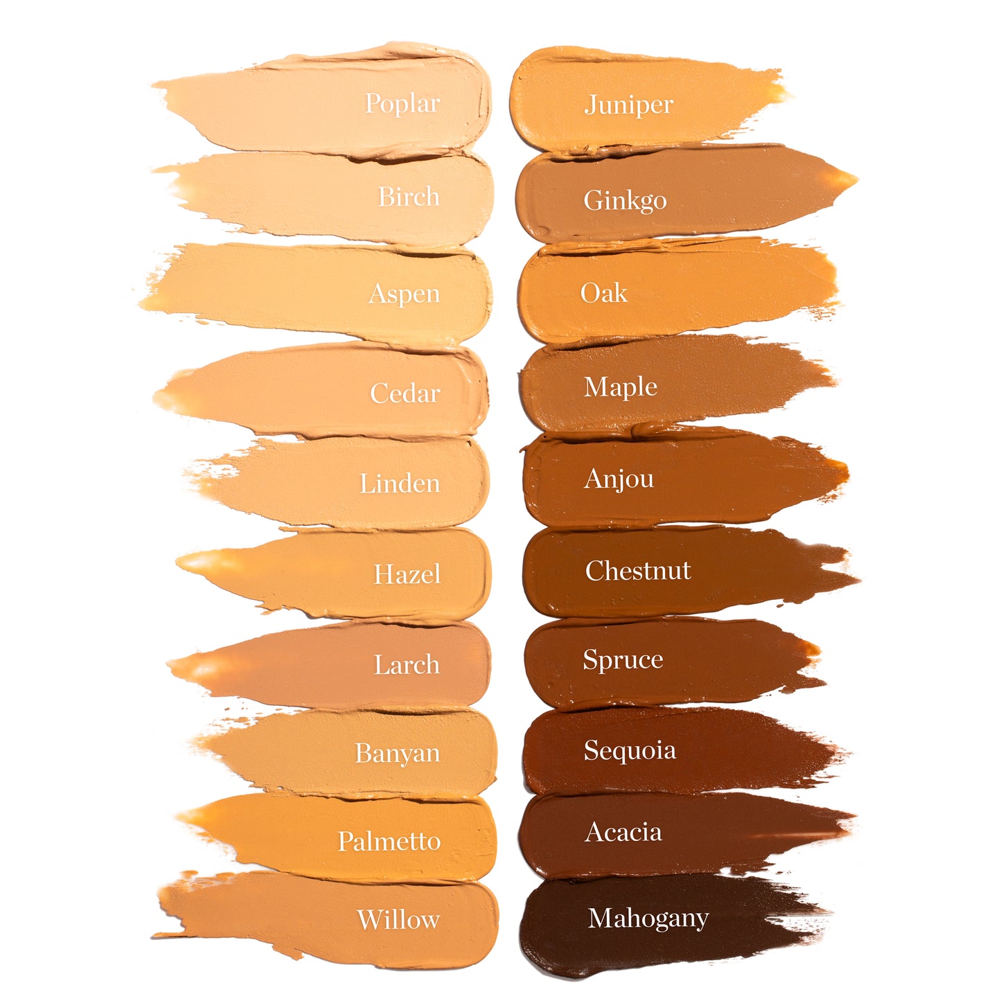 CEDAR 1.20C - Fair, Pink-Beige Undertones