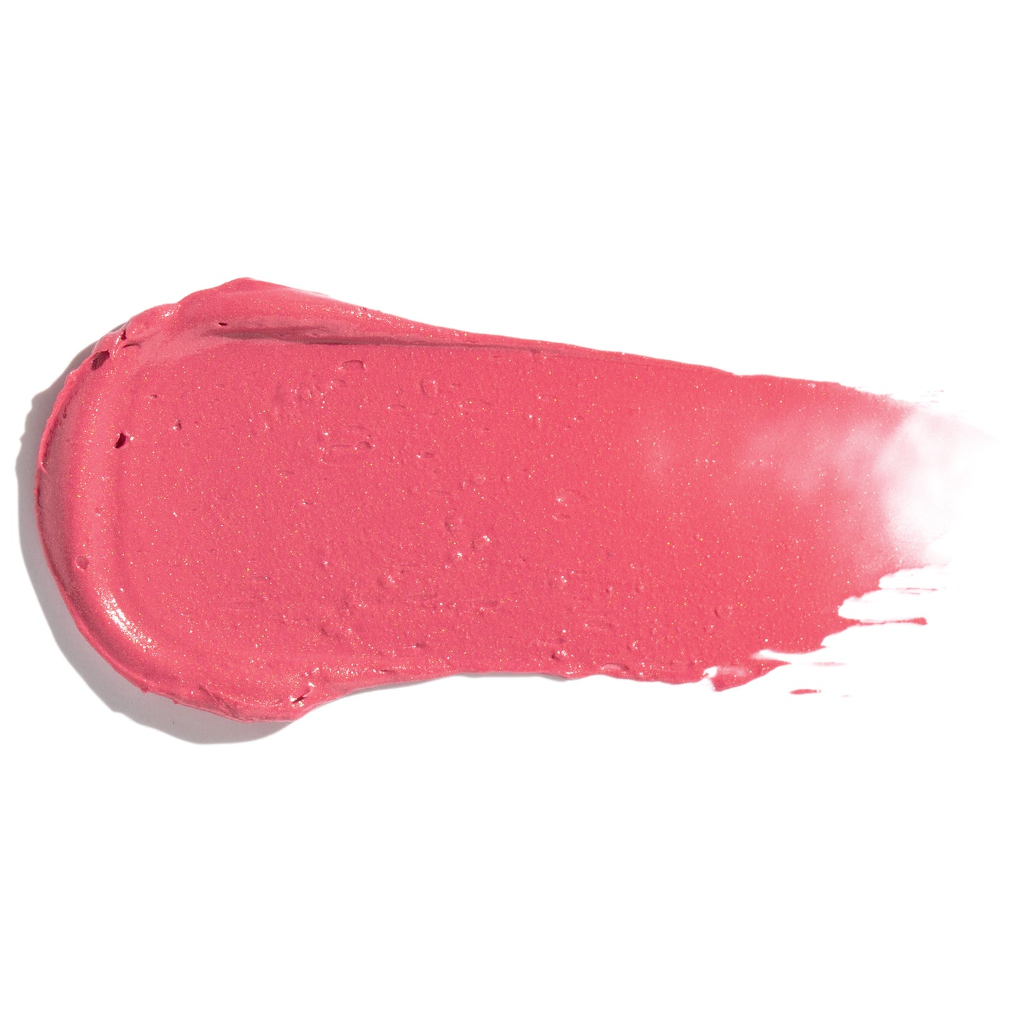 CAMELLIA - CLASSIC PINK
