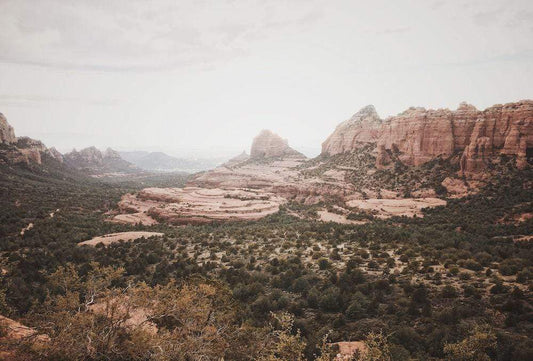 Desert Mecca
