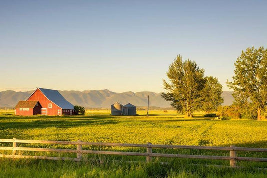 Giving Back To Organic Farming | Giving Tuesday